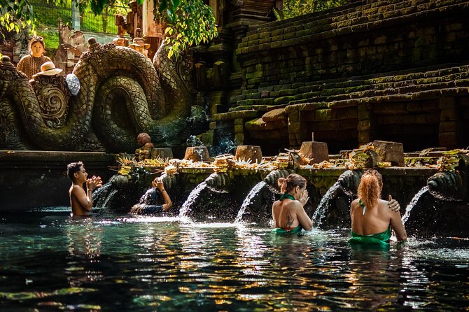 Private Day Tour: The Highlight of Ubud - Monkey Forest: macaques among temple ruins