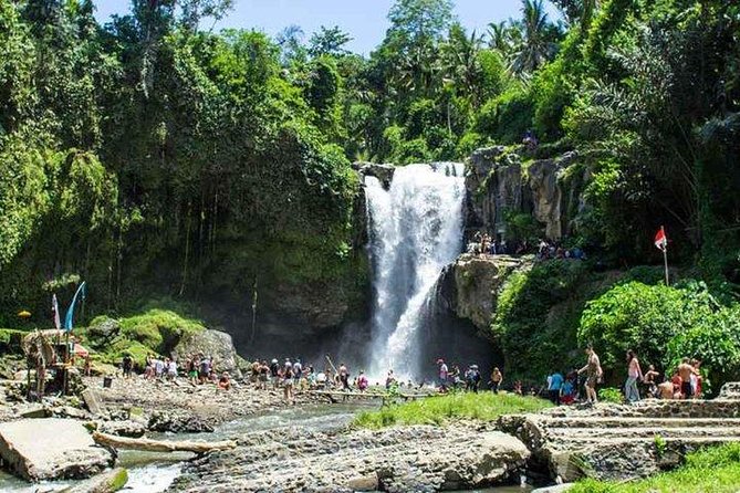Private Day Tour: The Highlight of Ubud - Tirta Empul: Bali’s living temple tradition