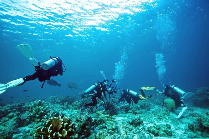 Private Diving Experience in Nusa Dua with Hotel Pick Up - Choosing between one session and two