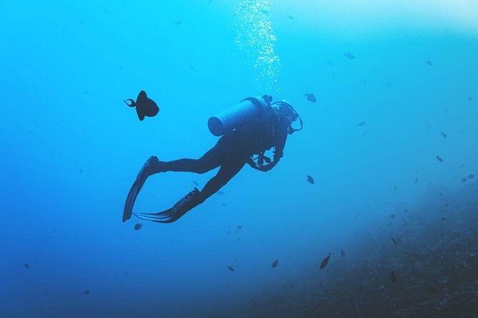 Private Diving Experience in Nusa Dua with Hotel Pick Up - What the $59 price includes