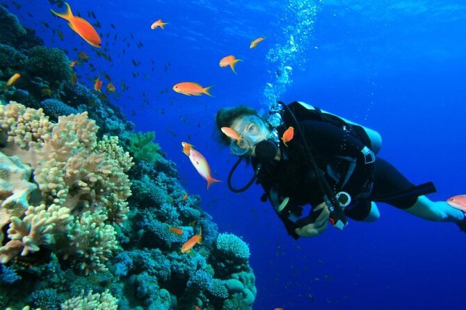 Private Diving Experience in Nusa Dua with Hotel Pick Up - Stop 1: Nusa Dua’s marine area