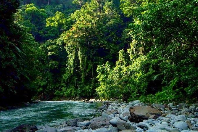Private Full-Day Bukit Lawang Trekking Tour From Medan - What the $128.21 Price Gives You