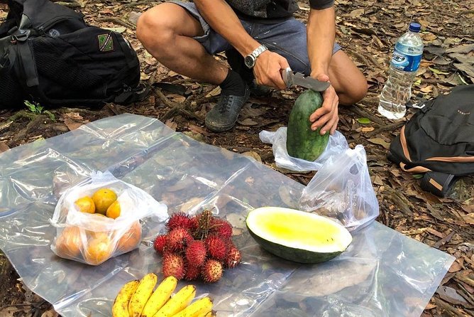 Private Full-Day Bukit Lawang Trekking Tour From Medan - Fitness, Equipment, and Family Suitability