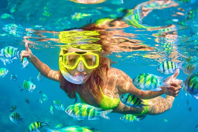 Private Full-Day Lovina Dolphin Watching and Snorkeling Boat Tour - What the $152 price includes