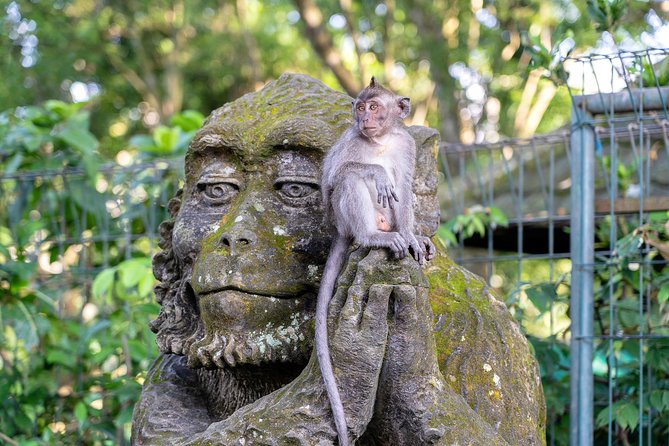 Private Full-Day Tour: Balinese Temples and Rice Terraces - Tirta Empul: watching or joining the purification rite