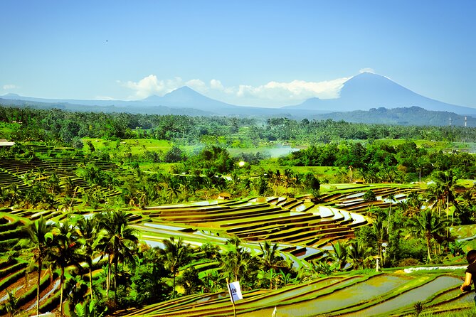 Private Full-Day Tour: Discover The Best of Bali Destination - Penatahan Kaja Hot Springs for a warm pause