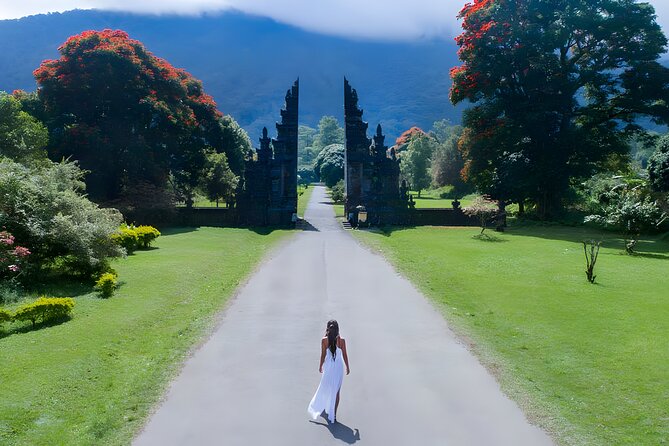 Private Full-Day Tour: Discover The Best of Bali Destination - What your private car changes