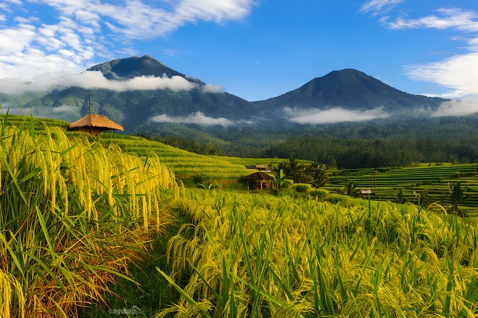 Private Full-Day Tour: Discover The Best of Bali Destination - Tamblingan and Buyan Lakes at the top of Bali