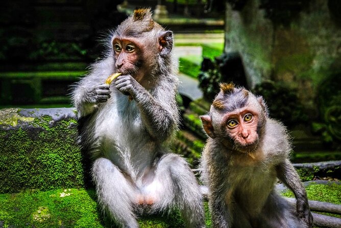 Private Full Day Tour In Ubud Bali - Celuk Village and the craft economy