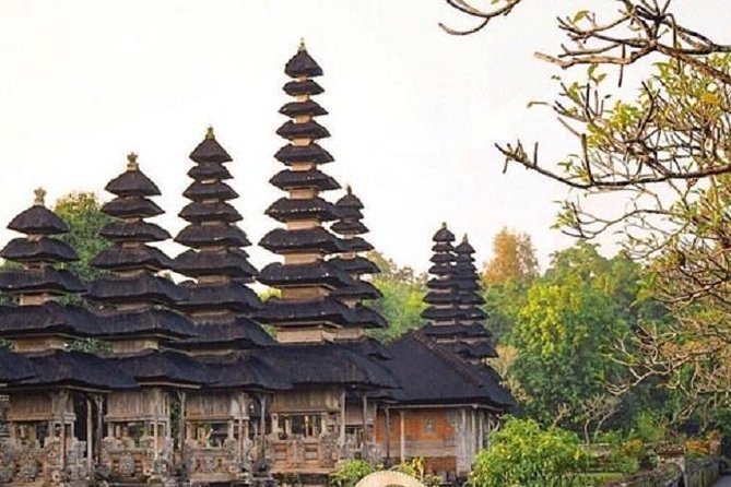Private Full-Day Tour Jatiluwih Rice Terrace and Tanah Lot Temple - Who will get the most from this Bali day trip