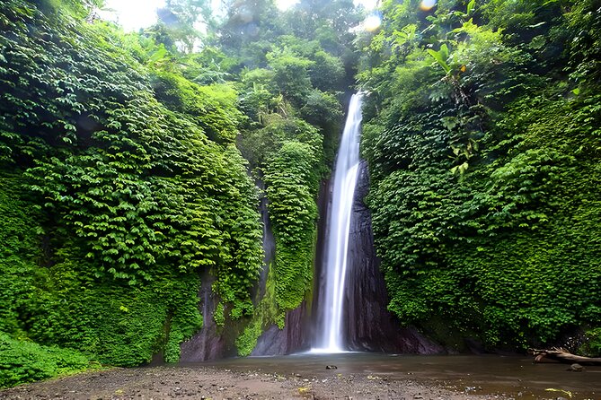 Private Full-Day Tour : North Bali Trip to Discover The Culture of Bali Island - Why North Bali Works Best as a Full-Day Trip