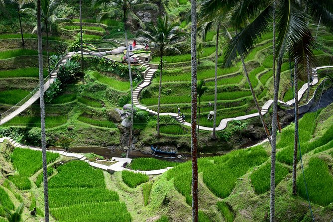Private Full Day Tour to Ubud Highlights with Giant Swing - Tegenungan Waterfall and the final walk of the day