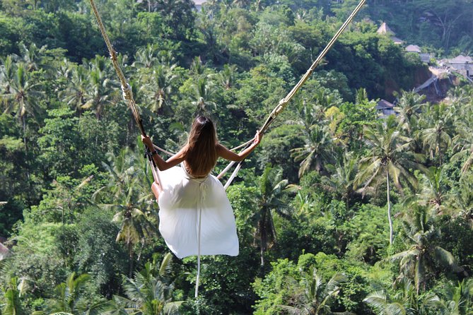 Private Full Day Tour to Ubud Highlights with Giant Swing - What the $73 price really covers