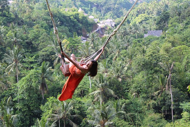 Private Full Day Tour to Ubud Highlights with Giant Swing - Two hours of swings and staged photo spots at Picheaven