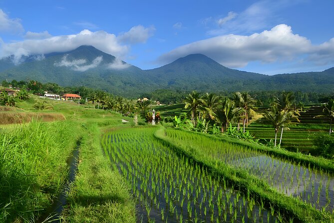 Private Full-Day Tour: Ulun Danu Beratan Temple, Jatiluwih and Tanah Lot Temple - Why this private Bali day trip is worth considering