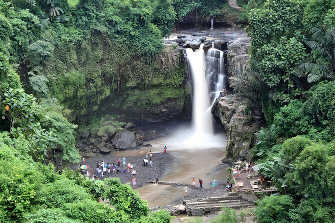 Private Full-Day Tour: Waterfall, Temple, Volcano, Rice Terrace & Monkey Forest - Monkey Forest adds shade and wildlife