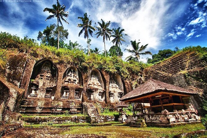 Private Inclusive Tour: The Best Of Ubud With Jungle Swing - d’Alas Swing delivers the big photo moment