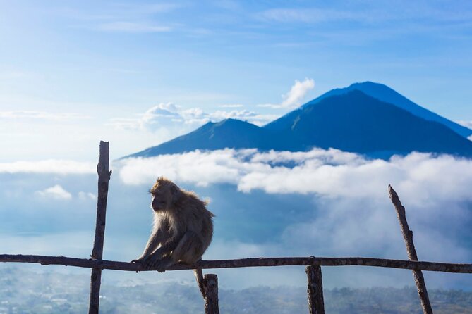 Private Mount Batur Sunrise Trekking Tour - Breakfast warmed by volcanic heat