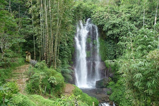 Private Munduk Waterfalls Trekking Tour - Why Munduk is worth the early start