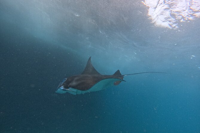 PRIVATE Nusa Penida on Boat Snorkeling & Island Tour (INCLUSIVE) - Lunch, shower time, and the change from sea to road