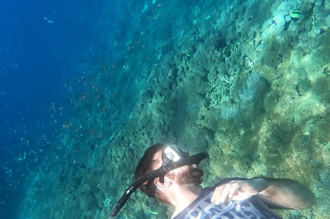 Private Nusa Penida Snorkeling Tour - Equipment, water conditions, and what to bring