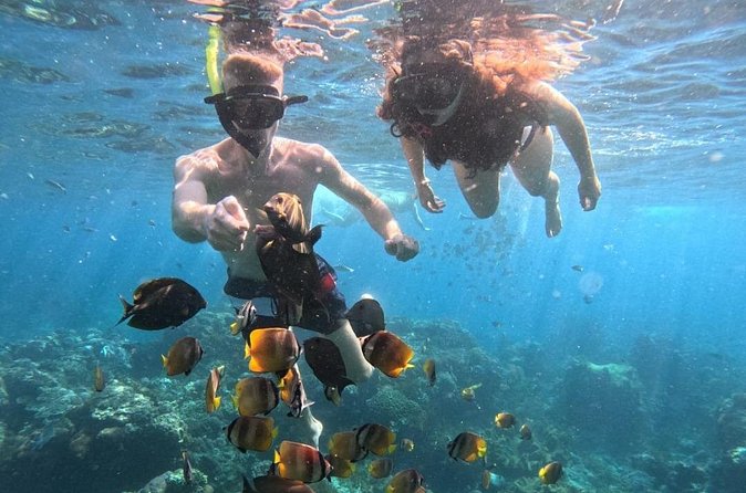 Private Snorkeling from Nusa Penida - Equipment, photos, and what to bring