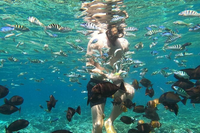 Private Snorkeling from Nusa Penida - Gamat Bay and the reef stops