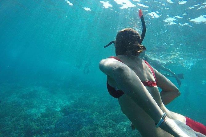 Private Snorkeling Gili Island (Coral, Statue and Turtle) - Turtle Point: the emotional high point