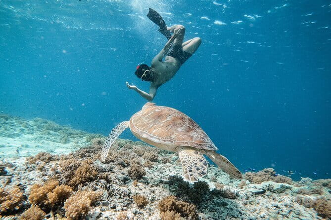 Private Snorkeling Gili Island Including GoPro Camera - Why the Private Boat Changes the Day