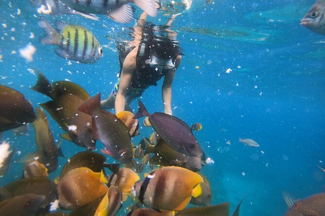 Private Snorkeling in Manta Bay, Gamat Bay & Wall at Nusa Penida - Why the private boat matters at Nusa Penida