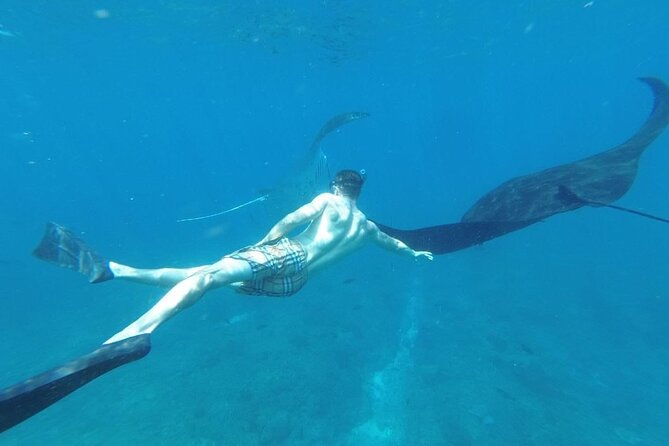 Private Snorkeling in Manta Bay, Gamat Bay & Wall at Nusa Penida - Gamat Bay and its fish-filled water
