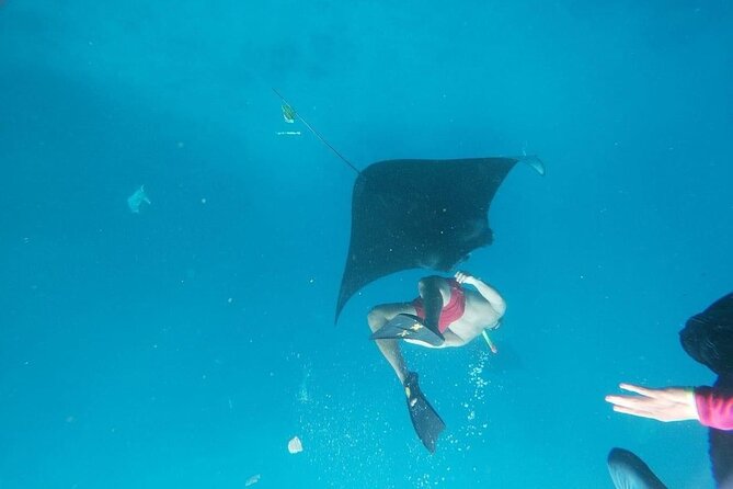 Private Snorkeling in Manta Bay, Gamat Bay & Wall at Nusa Penida - An instructor who helps you see more