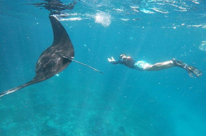 Private Snorkeling in Manta Bay, Gamat Bay & Wall at Nusa Penida - Lunch after the water
