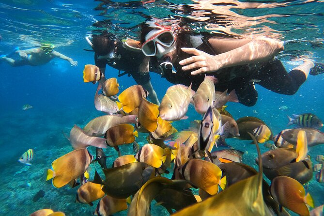 Private Snorkeling in Manta Bay, Gamat Bay & Wall at Nusa Penida - Manta Bay: the hoped-for encounter