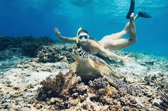 Private Snorkeling Start Gili Meno and Explore 4 Spots with GoPro - Fish Garden surrounds you with smaller sea life