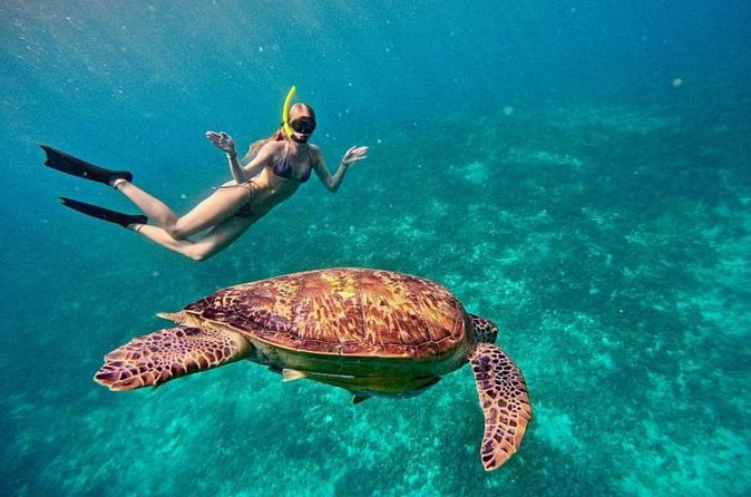 Private Snorkeling Start Gili Meno and Explore 4 Spots with GoPro - The Gili Air break gives the trip breathing room