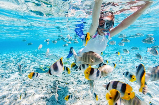 Private Snorkeling Start Gili Meno and Explore 4 Spots with GoPro - What the private setup really changes