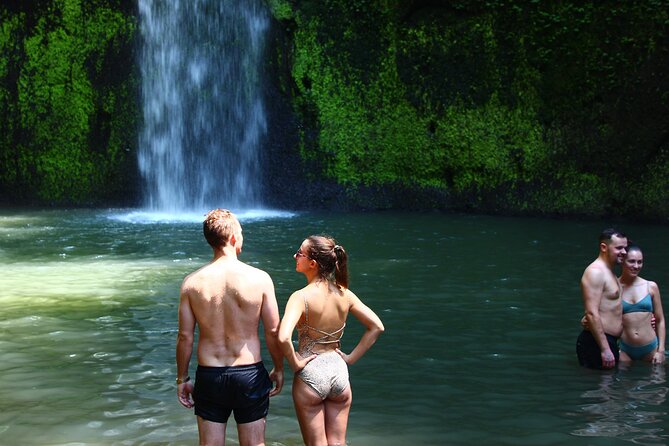 Private Tour : Bali Best Waterfalls, Temples and Monkey Forest - Sangeh Monkey Forest, the likely afternoon favorite