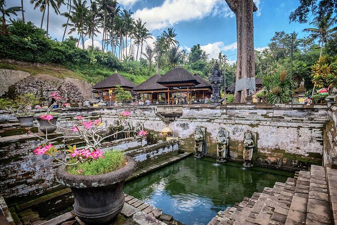 Private Tour : Bali Best Waterfalls, Temples and Monkey Forest - Who will enjoy this day most
