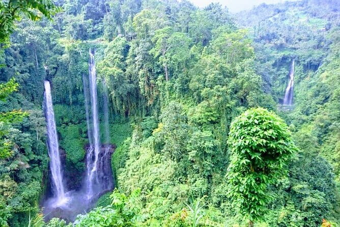 Private Tour: Bali Heritage Sites - What the $60 price really buys