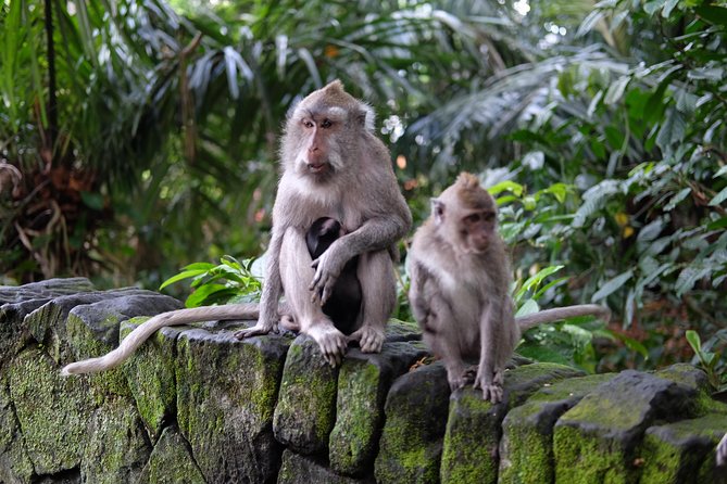 Private Tour: Bali in a Day - Kintamani and the Mount Batur caldera