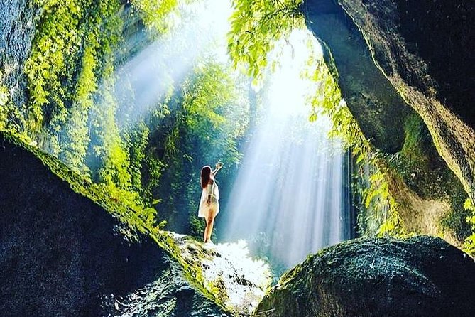 Private Tour: Bali in a Day - Tegalalang Rice Terrace and the final Ubud view