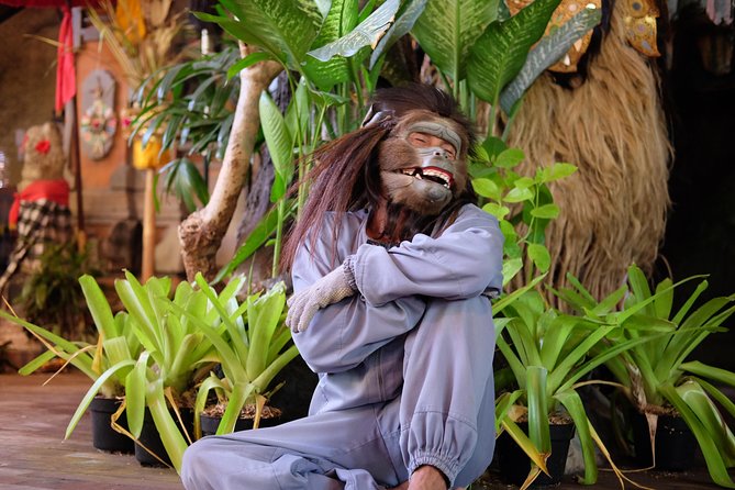 Private Tour: Bali in a Day - What the private driver adds