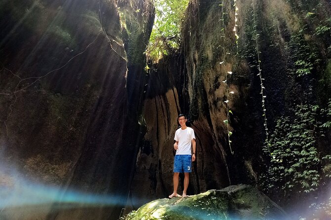 Private Tour Bali: Lempuyang Temple / Gate of Heaven, tirtagangga, waterfall. - The luwak coffee plantation stop
