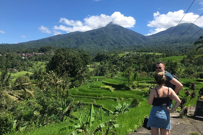 Private Tour: Bali Temple and Countryside Tour - Bali Butterfly Park: a gentle start among rare insects