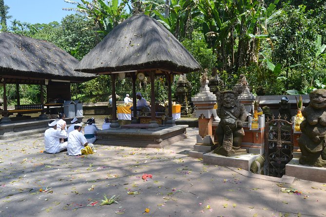 Private Tour: Bali Temple and Countryside Tour - Jatiluwih’s 600 hectares of working rice fields