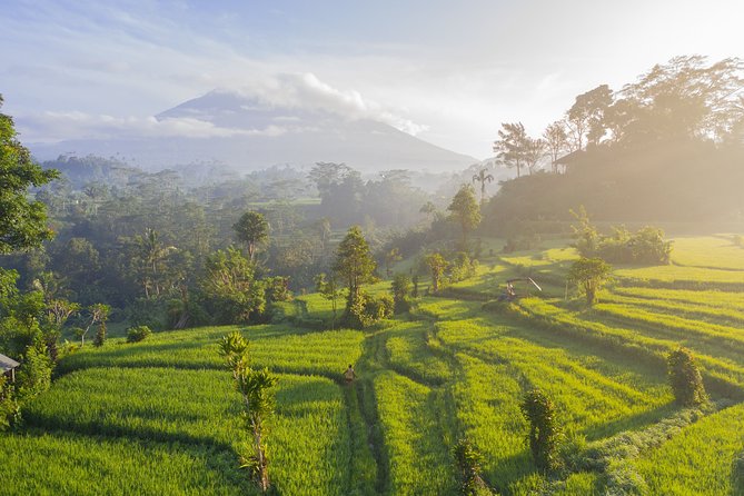 Private Tour: Bali Temple and Countryside Tour - Private transport and the value of a flexible guide