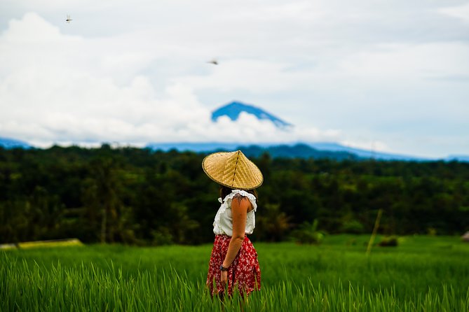 Private Tour: Bali Temple and Countryside Tour - Who will enjoy this 8-hour Bali tour most