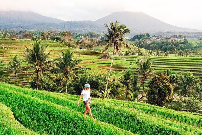 Private Tour: Bali UNESCO World Heritage Sites - Tanah Lot at sunset