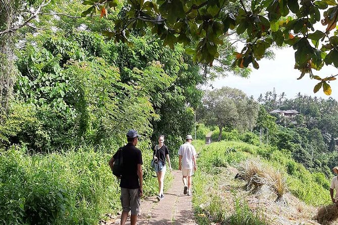 Private Tour: Campuhan Ridge Walk, Ubud Rice Terrace & Ubud Palace - Browse Ubud Traditional Art Market across from the palace